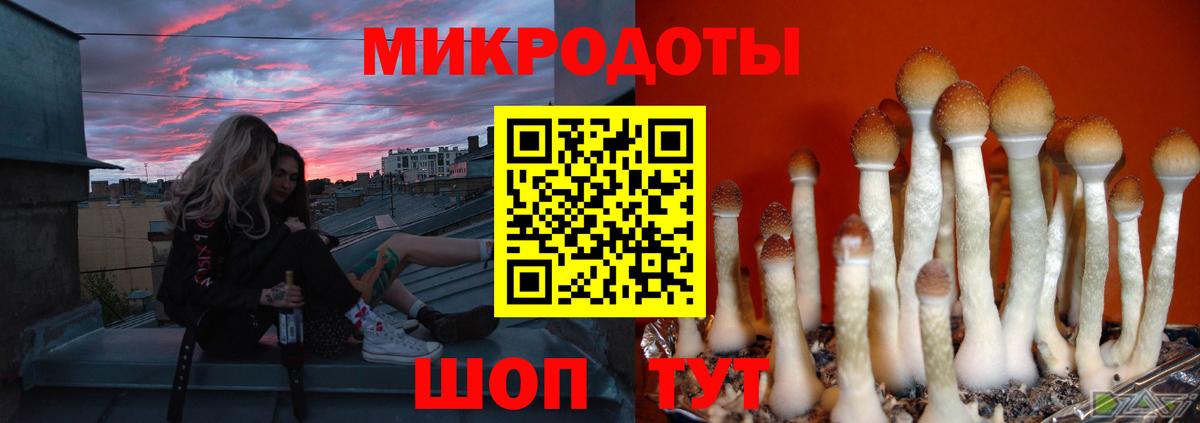 Галлюциногенные грибы мухоморы  Галлюциногенные грибы Psilocybe  Волоколамск  Вход с VPN 